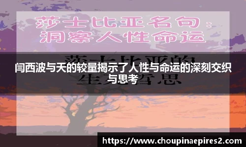 Cmp冠军官网